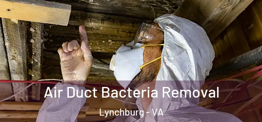  Air Duct Bacteria Removal Lynchburg - VA