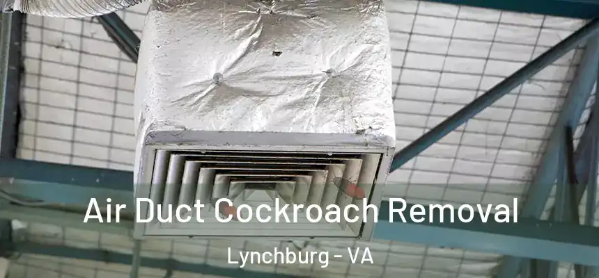  Air Duct Cockroach Removal Lynchburg - VA