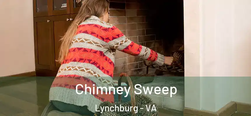  Chimney Sweep Lynchburg - VA