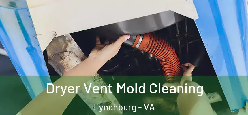  Dryer Vent Mold Cleaning Lynchburg - VA