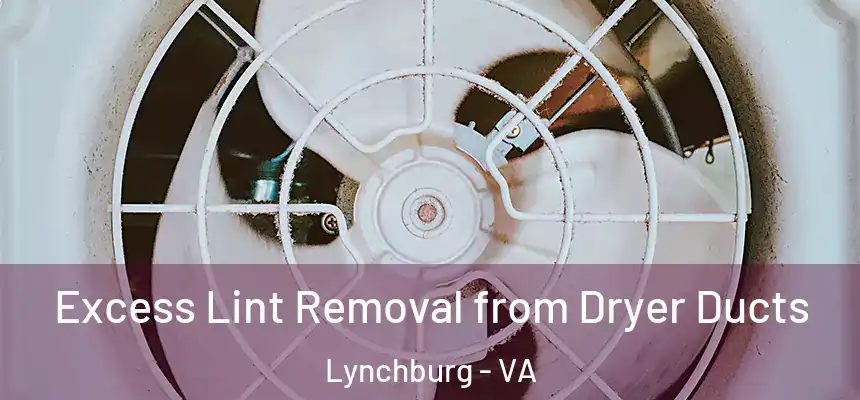  Excess Lint Removal from Dryer Ducts Lynchburg - VA