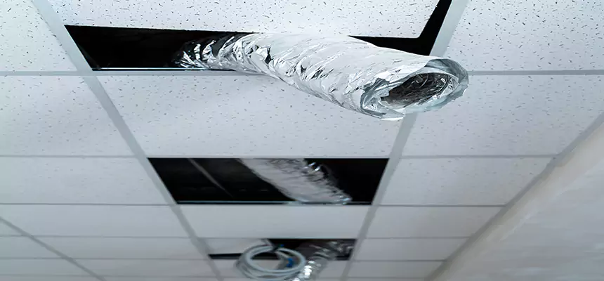 Our Air Duct Pet Hair Removal Services in Lynchburg, VA