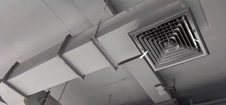 Restorative Allergy Relief Vent Cleaning – Coil, Blower & Housing Detail in Lynchburg