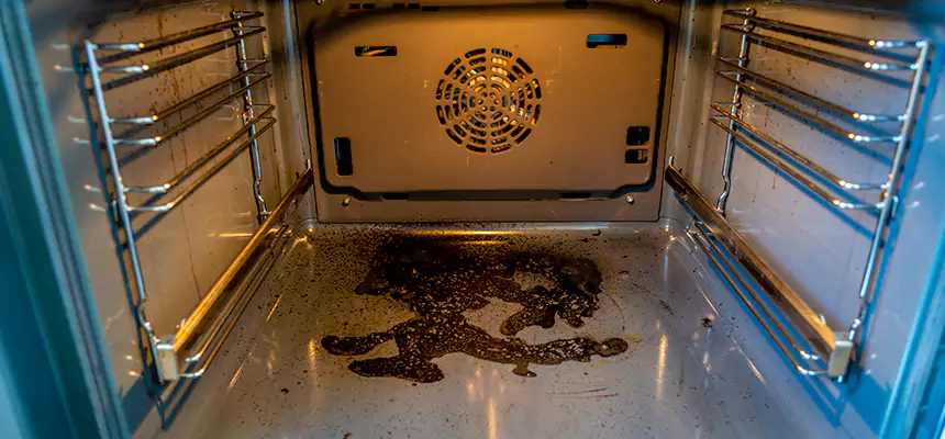 Our Dryer Vent Mold Cleaning Services in Lynchburg, VA