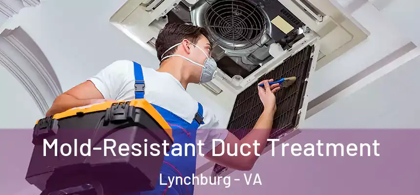  Mold-Resistant Duct Treatment Lynchburg - VA