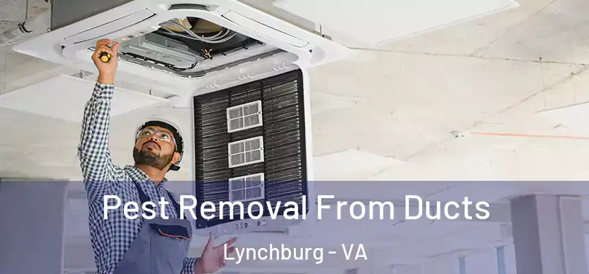 Pest Removal From Ducts Lynchburg - VA
