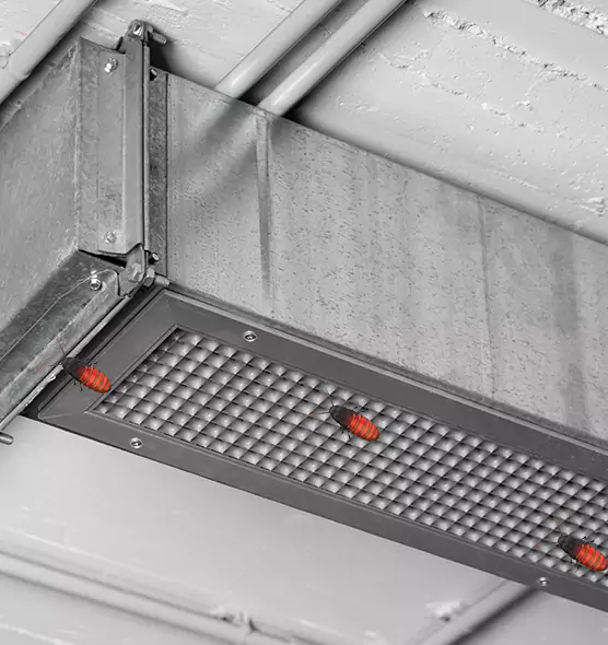 About Air Duct Cockroach Removal in Lynchburg, VA