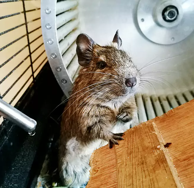 Why Homeowners & Businesses Trust Us Lynchburg, VA?