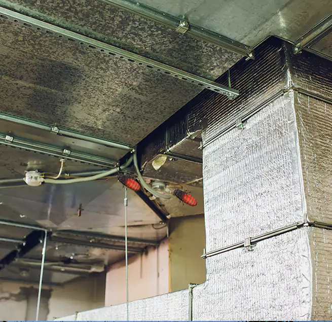 Why Homeowners & Businesses Trust Us Lynchburg, VA?